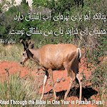 Read Through the Bible in one Year Calendar in Persian (Farsi) by the Iranian Christian Church of Colorado in Denver, Print or use online