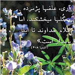 Read Through the Bible in one Year Calendar in Persian (Farsi) by the Iranian Christian Church of Colorado in Denver, Print or use online