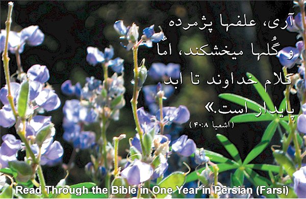 Read the Bible in One Year In Persian - July 2011 Bible Study calendar page in Farsi